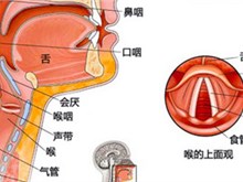 “一鸣惊人”的诀窍：胸腹联合呼吸法